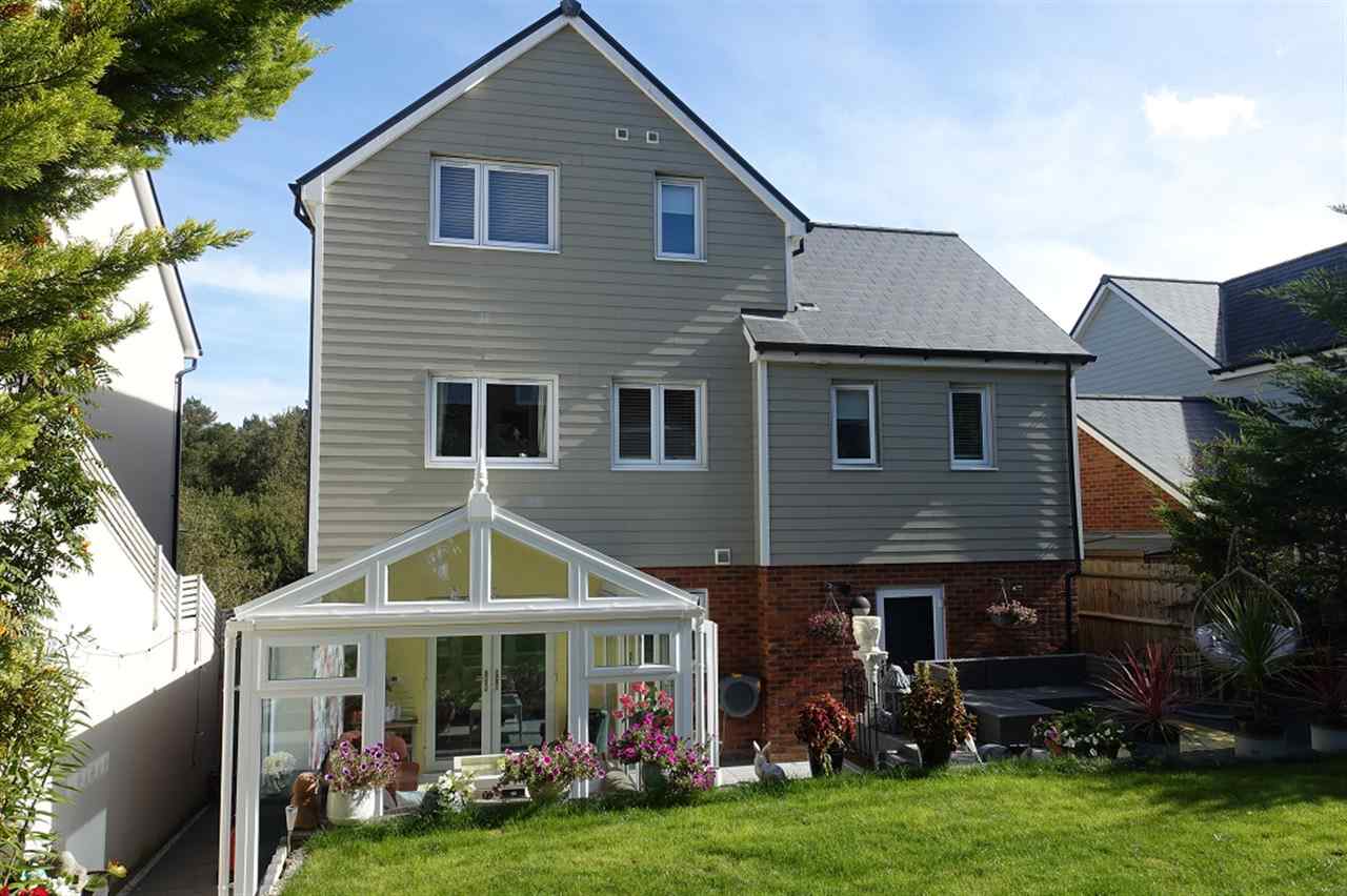 resized-2349823-Rear Elevation B.JPG
